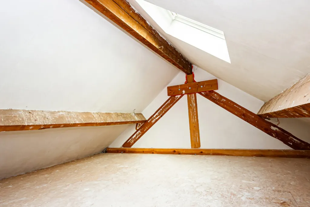 Toad - Penthouse with Terrace in Dour
