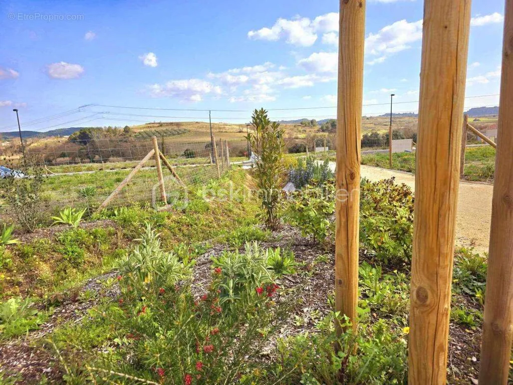 Aed - Constructible Plot in Vineyard Village