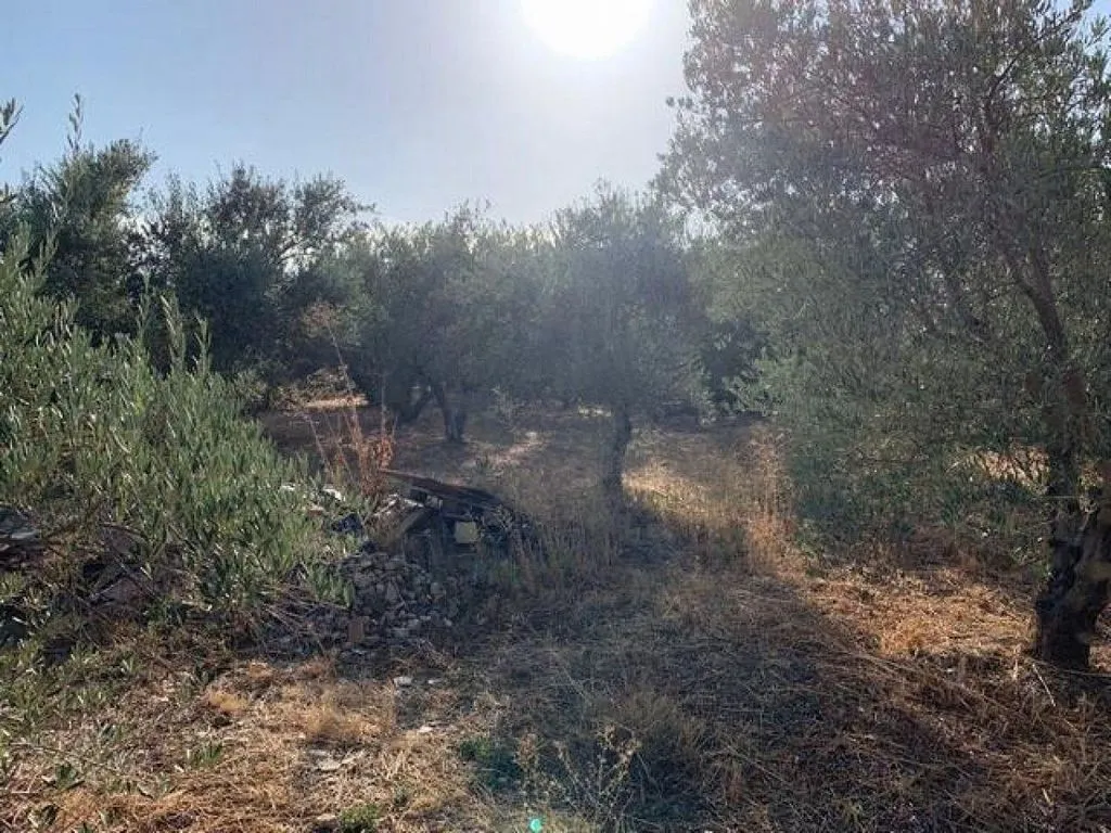 Aed - Rural House with Large Plot in El Higuerón