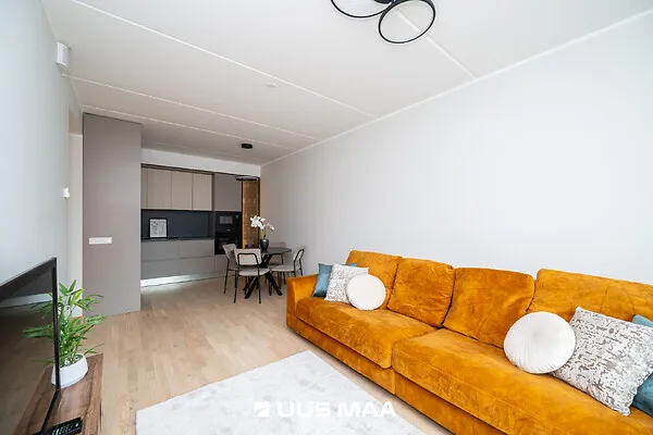 Elutuba - Modern Flat with Balcony in Loo Village