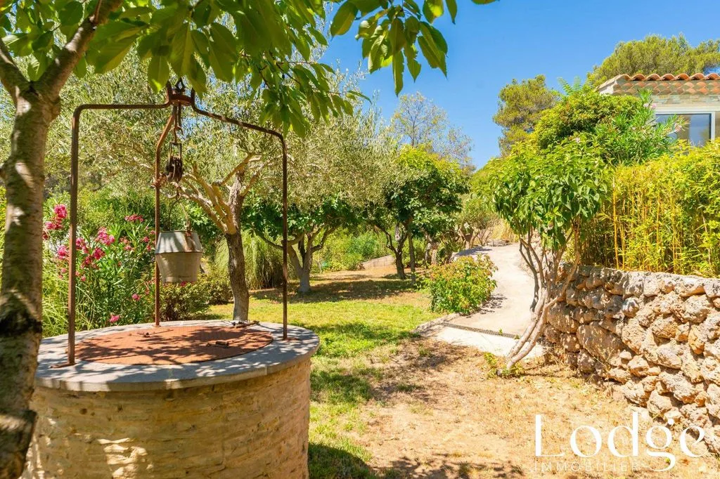 garden