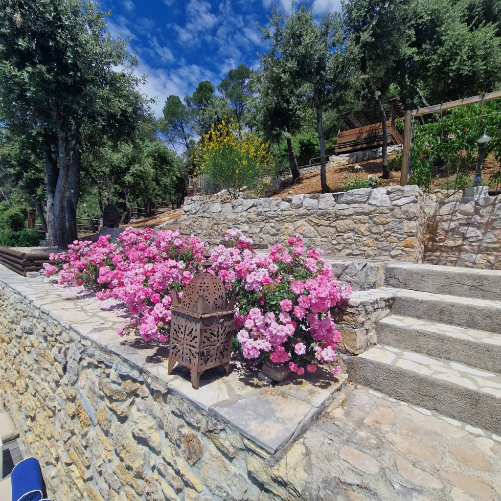 Terrass - Provençal Villa with Pool near Lorgues