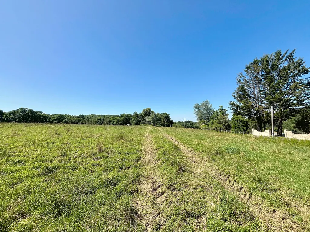 Jardin - Terrain Constructible avec 8 Hectares de Nature à Lahourcade