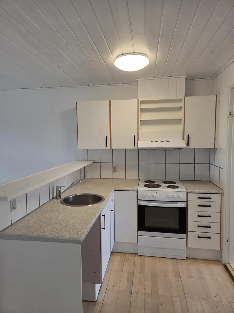Cuisine - Renovated Studio Flat with Terrace in Ørnhøj