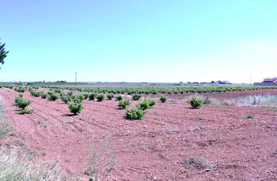 Land Parcel in Mesas, Cuenca