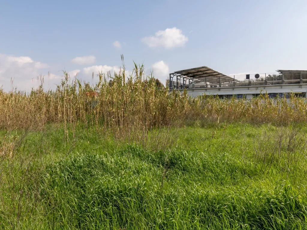 Giardino - Buildable Land with Project in Ardea