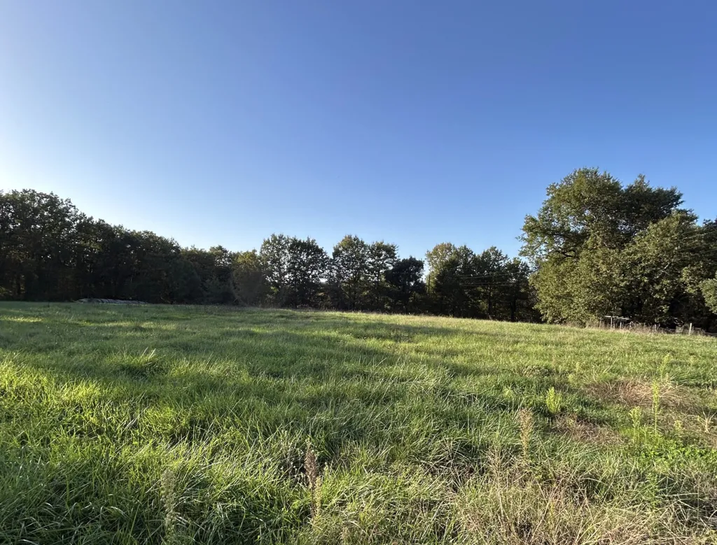 Jardin - Terrain à Bâtir Non Viabilisé à Génébrières