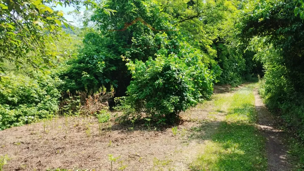 Garden - Rustic Property with Mountain View in Teolo