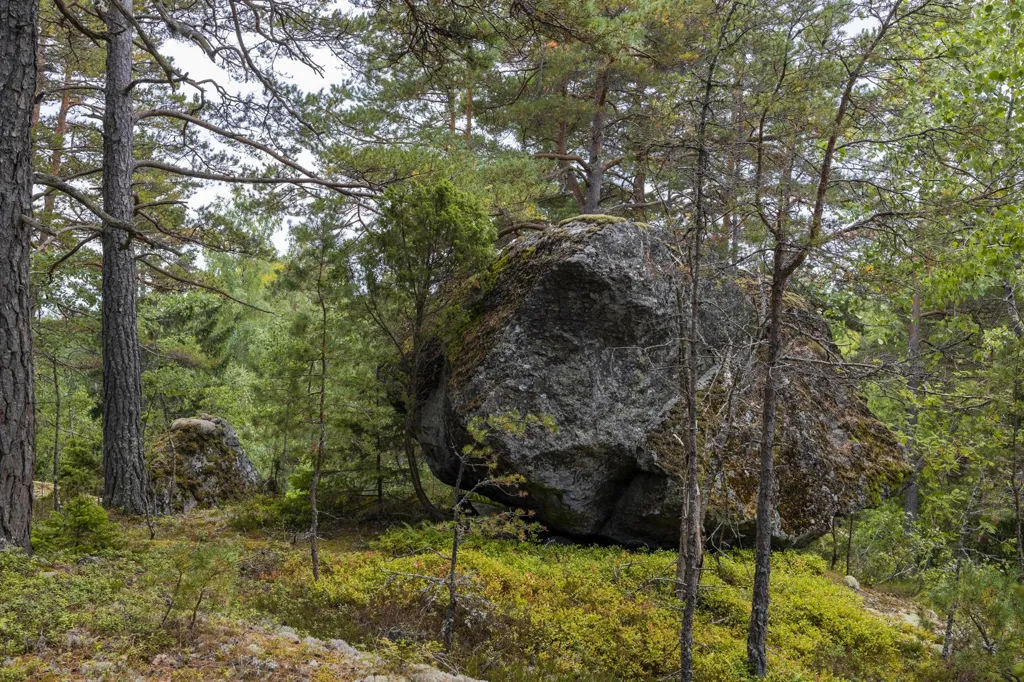 Aed - Plot with Forest View in Södertälje
