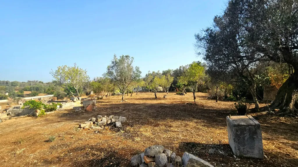 Jardin - Trullo with Olive Grove in Carovigno