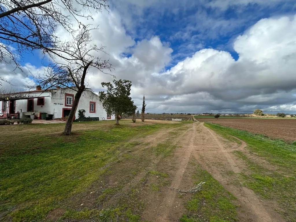 Außenansicht - Historic Estate with Vineyard near Badajoz