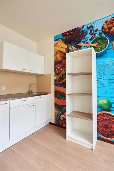 Cuisine - Furnished Studio for Students in Leiden