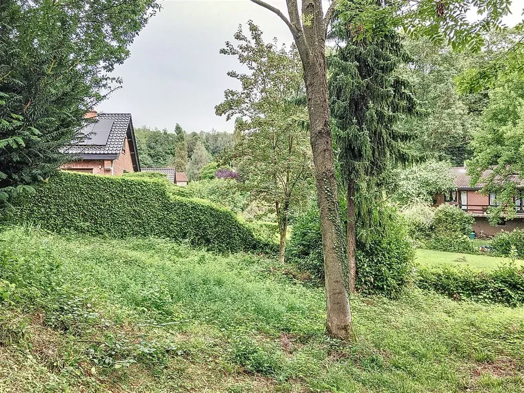 Jardin - Terrain à Bâtir en Zone d'Habitat à Morlanwelz-Mariemont