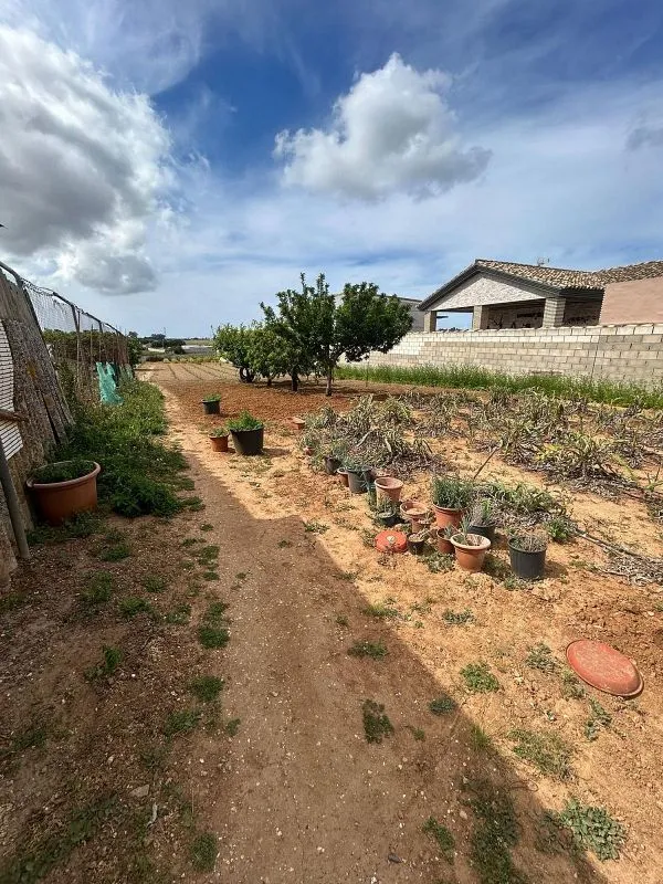 Jardin - Chiclanan Chalet Plot with Pool on La Playa Road