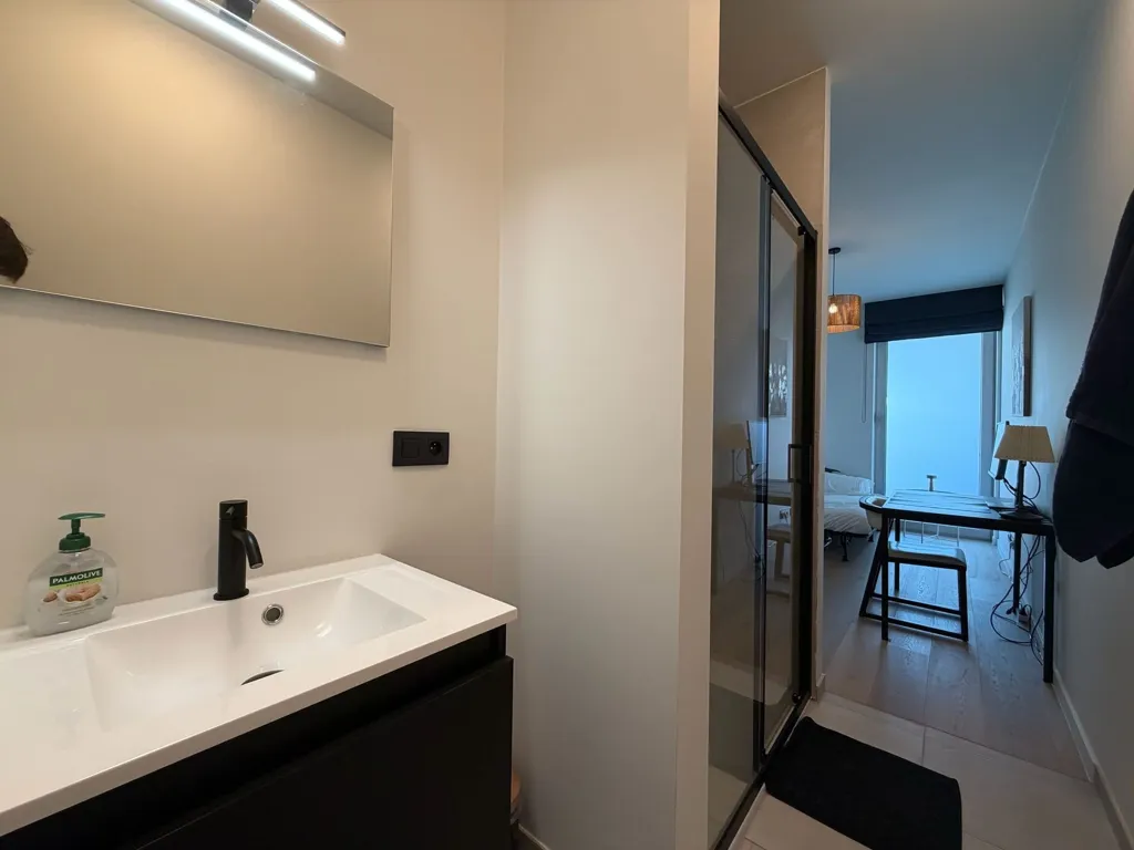 Vannitoad - Penthouse with South-West Terrace in Merchtem
