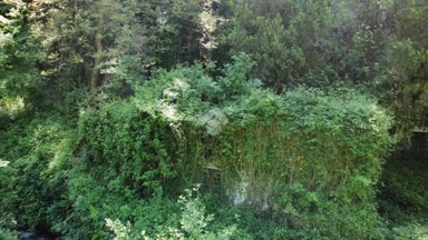 Garden - Rustic House with Large Garden in Piteccio, Pistoia