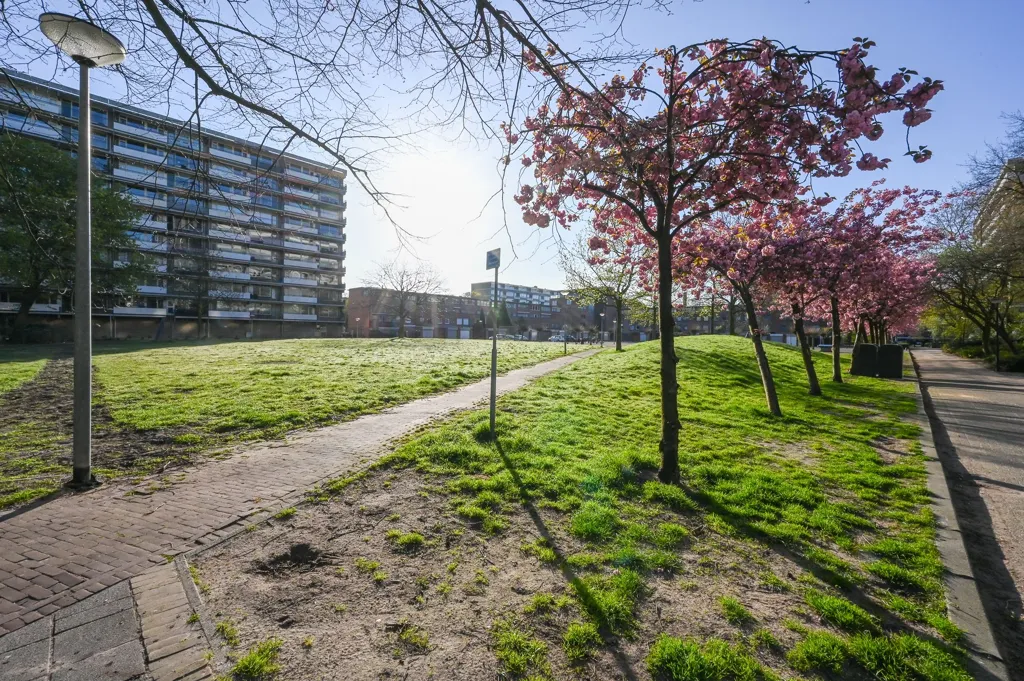4-toaline korter asukohas Rijswijk (ZH)