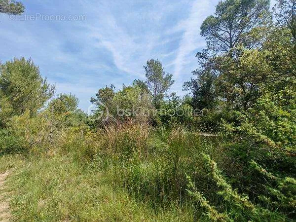 Aed - Non-Constructible Natural Terrain in Saussines