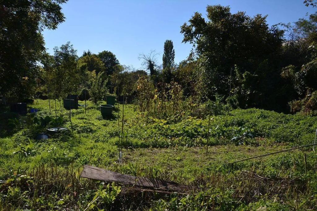 Aed - Buildable Land in Saint-Perdon, Landes