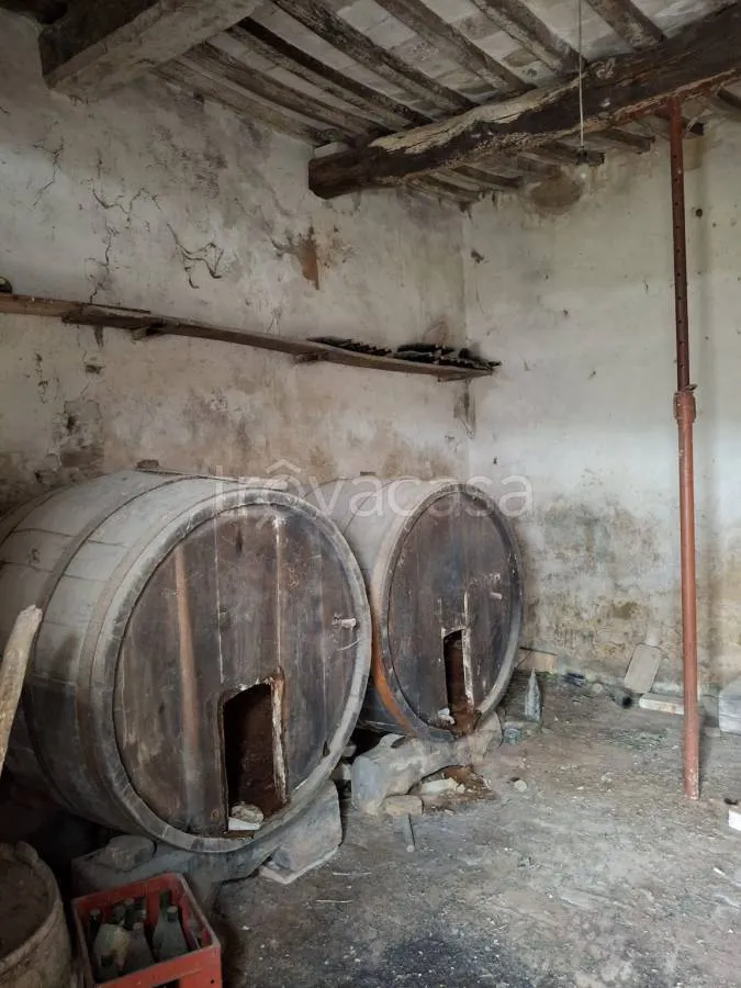 cellar