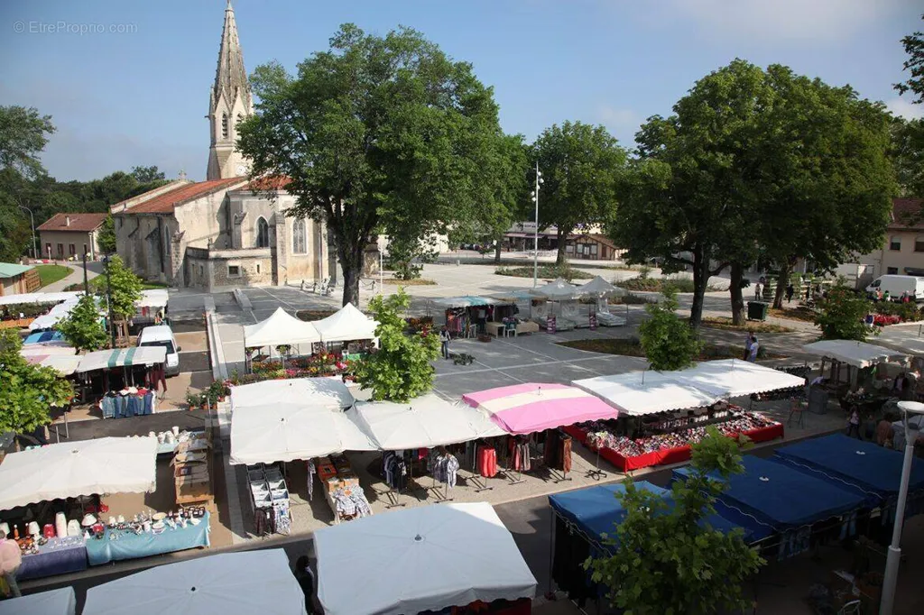 Buildable Land with City Centre Proximity in Biscarrosse