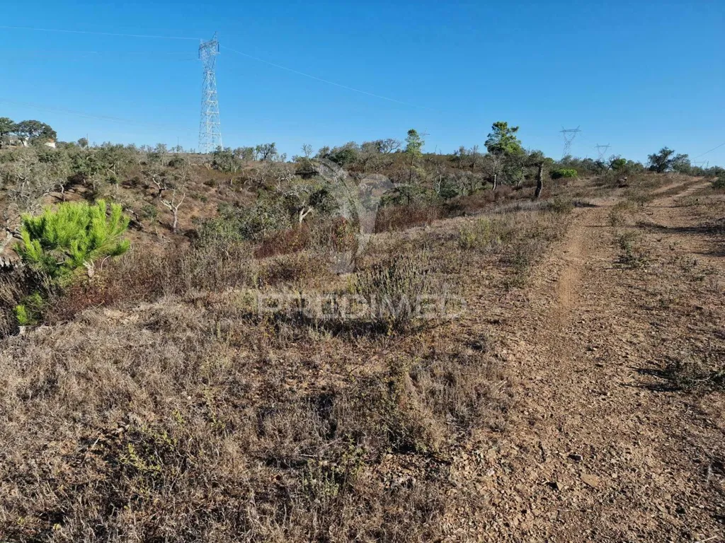 Jardin - Ruin with Construction Potential in São Francisco da Serra