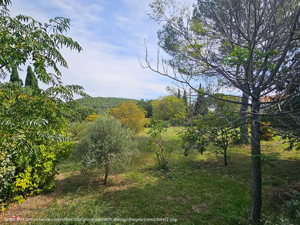Aed - Buildable Plot with Garden in Lorgues