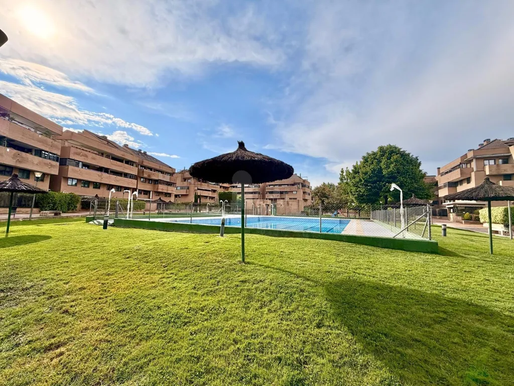 Bassein - Modern Flat with Terrace in Prado de Somosaguas