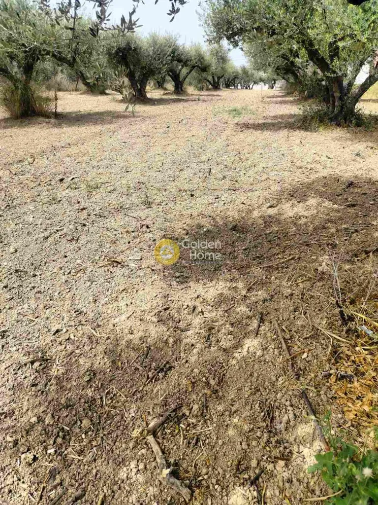 Aed - Privileged Plot with Mountain View in Agios Theodori