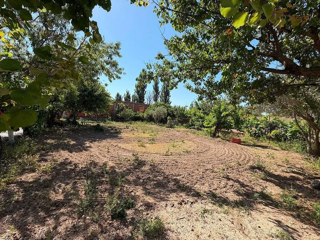 Aed - Rustic House with Pool near Belchite