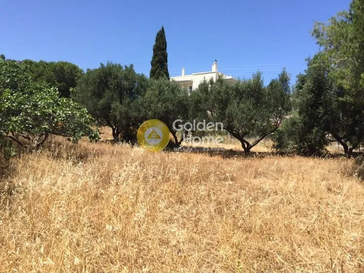 Giardino - Villa with Garden in Eastern Attica