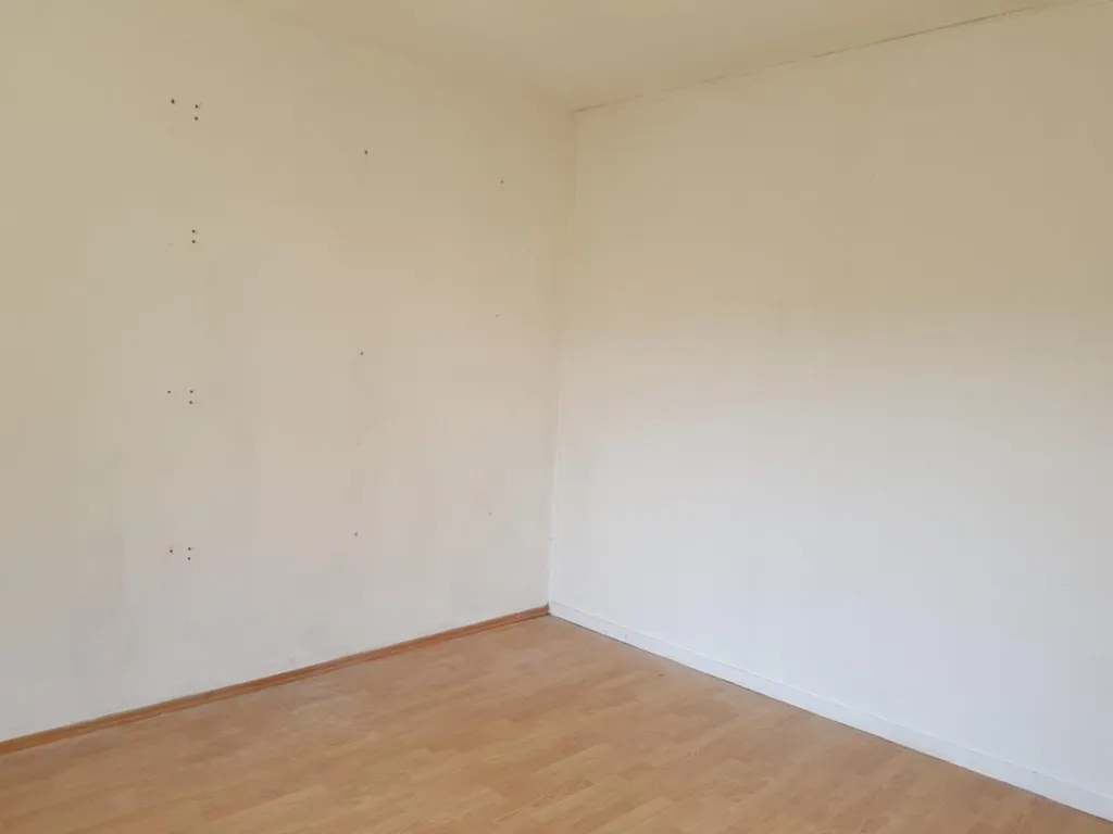 Toad - Spacious Room with Large Windows near Zernike