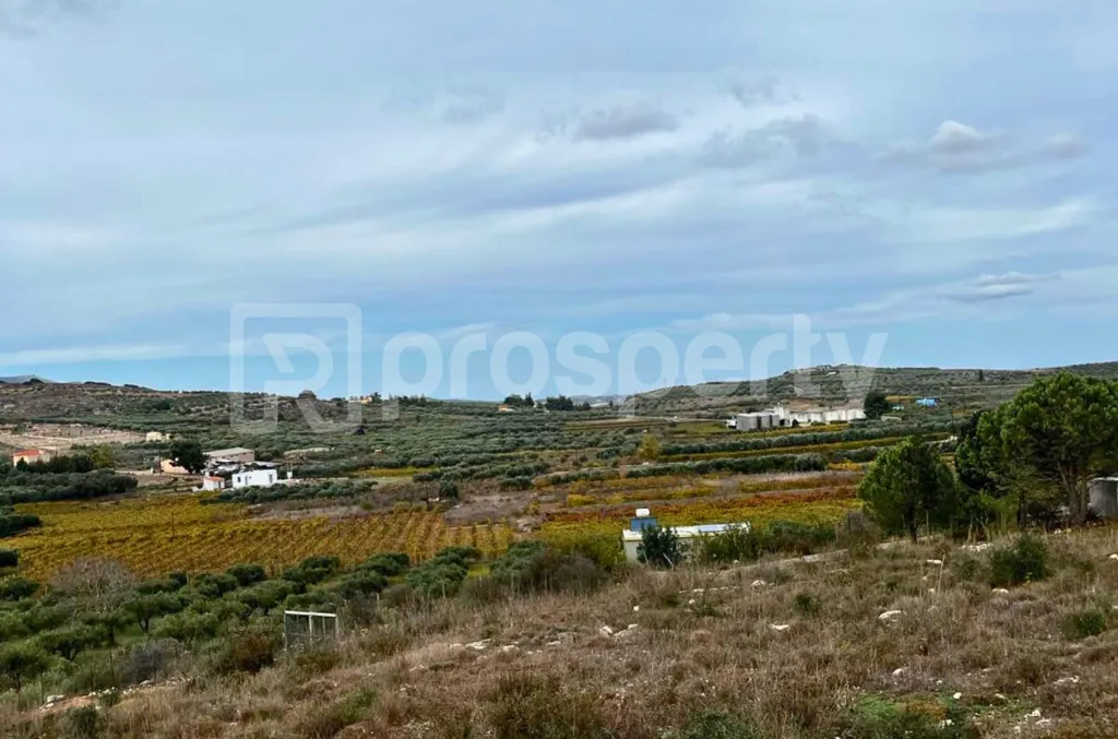 Giardino - Buildable Plot with Frontage in Alagni, Crete
