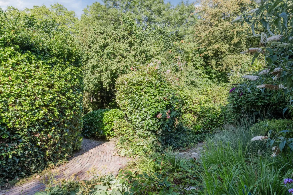 Jardin - Detached House with Garden in Alkmaar