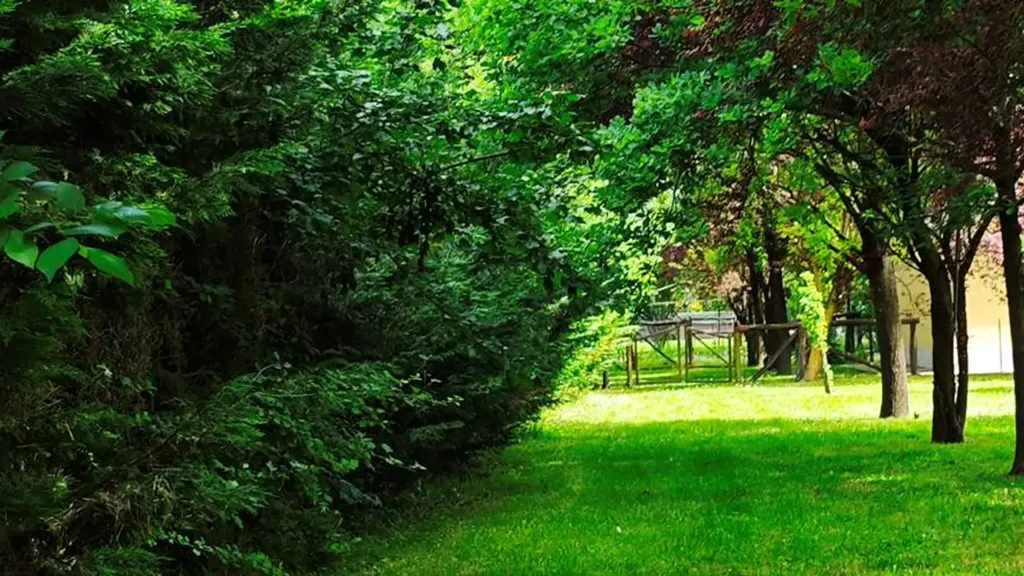 Garden - Villa with Pool and Garden in Correggio