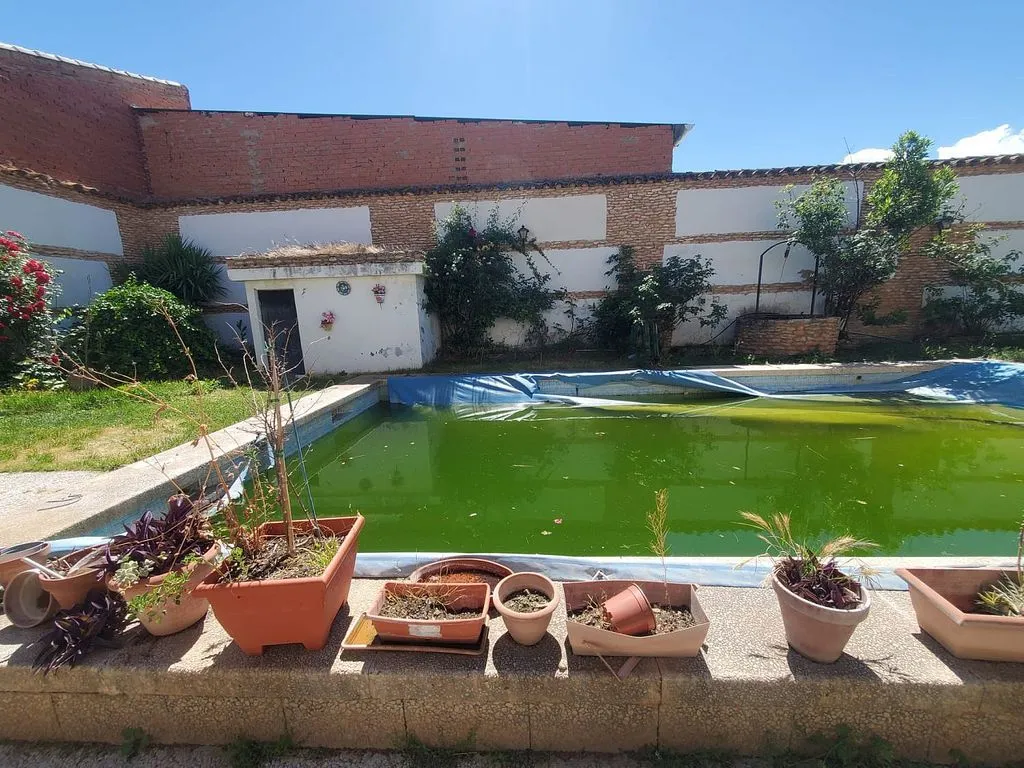 pool_area