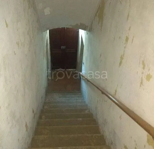 Toad - Rustic Property with Langa Views in Guarene