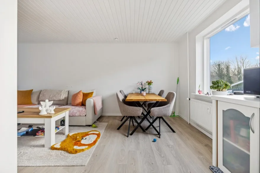 Séjour - Flats with Garden Access in Nørresundby