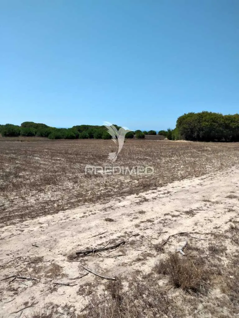 Rustic Plot with Sea Access in Porto Côvo