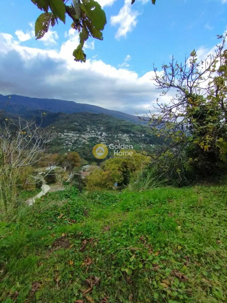 Garden - Detached Villa with Sea View in Anilio
