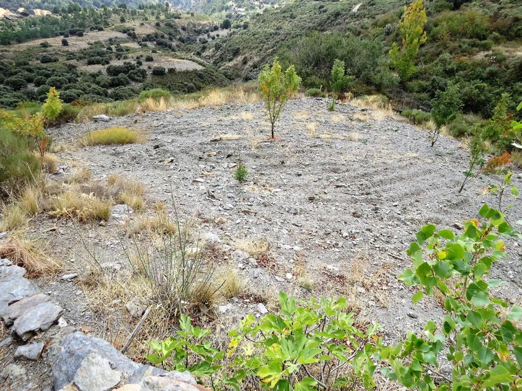Giardino - High-Quality Mountain Cortijo with Spring in Válor