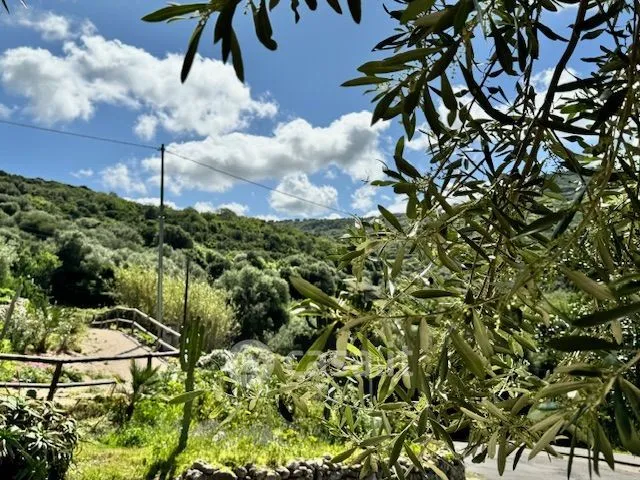 Aed - Rustic Farmhouse with Private Garden in Modolo