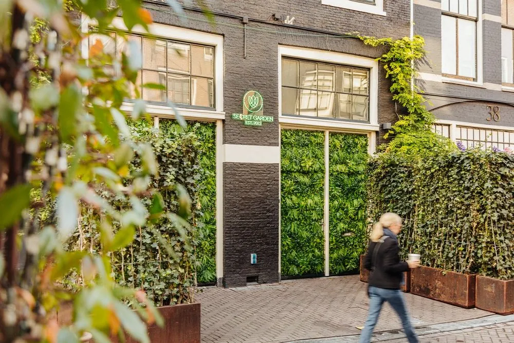 3-room apartment in Amsterdam