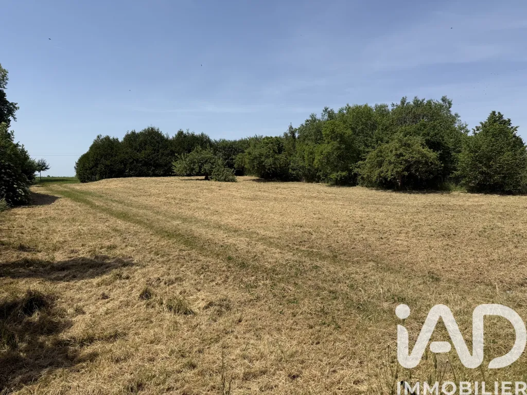 Aed - Buildable Land with Dual Viability in Possesse