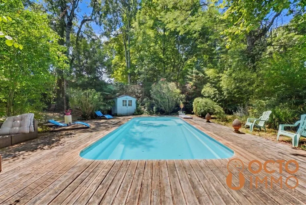 Bassein - Villa with Garden and Pool in Pibrac