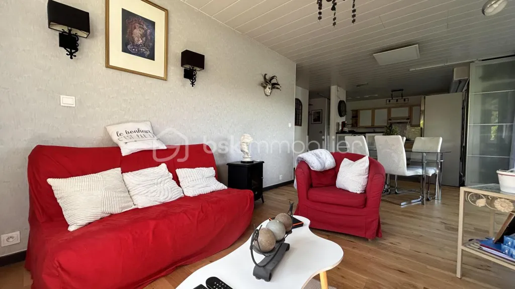 Séjour - Appartement T3 avec Balcon à Echirolles