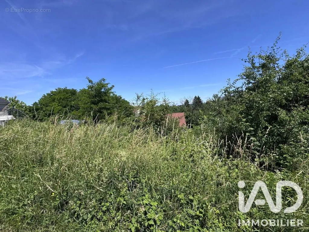 Giardino - Buildable Plot with 34m Facade in Bouzonville