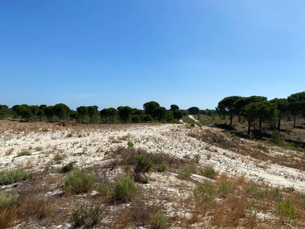 Aed - Buildable Land with Water Access near Grândola