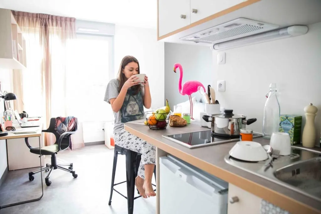 Kitchen - Student Studio with Campus Proximity in Angers
