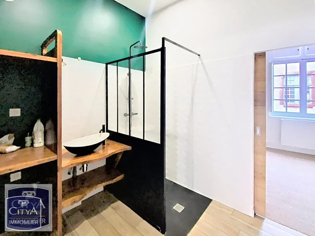 Vannitoad - Modern Flat in Historic Centre, Montauban